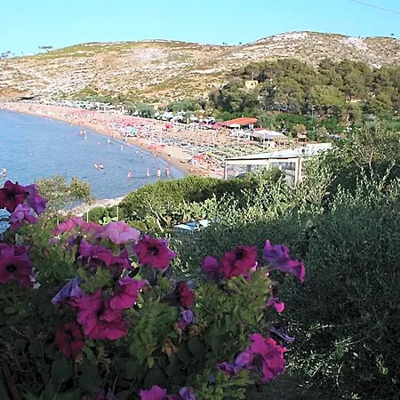 Albergo